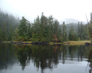Bear Country